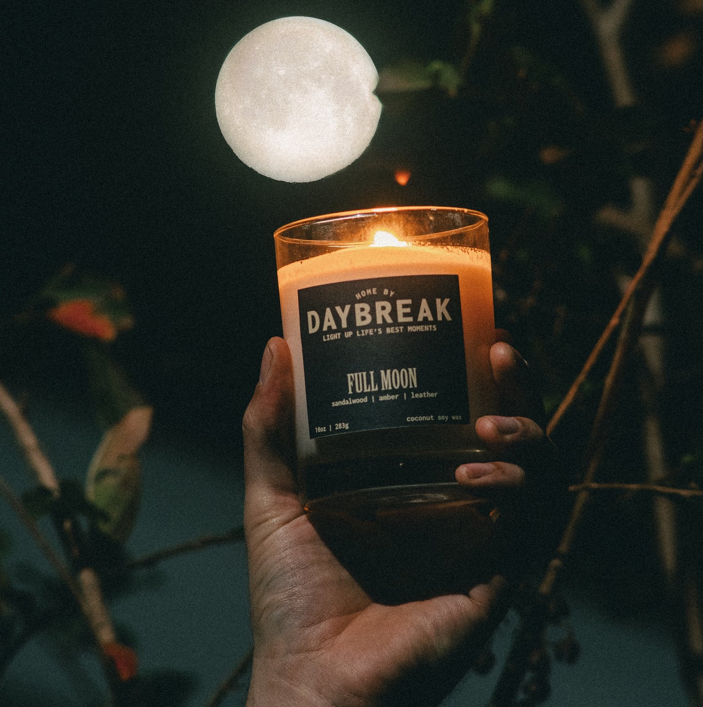 Full Moon: Sandalwood | Amber | Leather